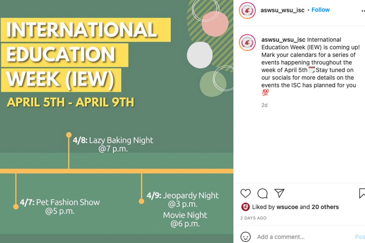 International Education Week dedicated to student resiliency | WSU Insider - Vimarsana News