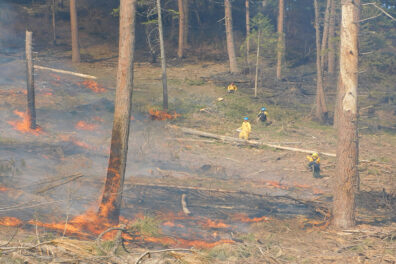 WSU students overseeing a prescribed burn