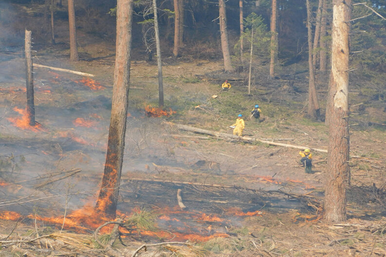 WSU students overseeing a prescribed burn