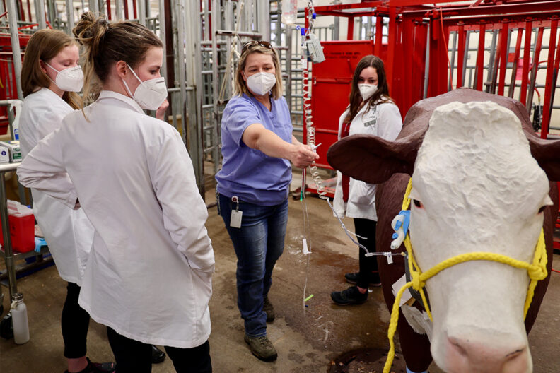 Vet students watch while an instructor demonstrates how to use a fluid pump.