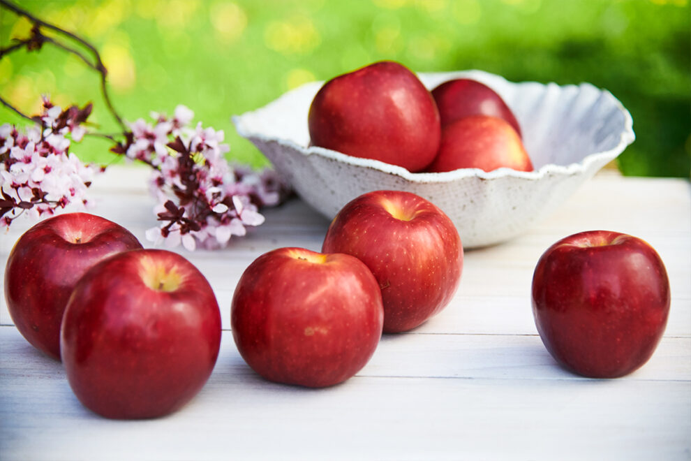 Cosmic Crisp apples on a picnic table.