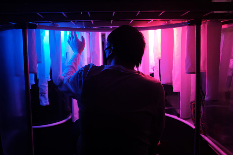 A person uses the Wisteria installation.