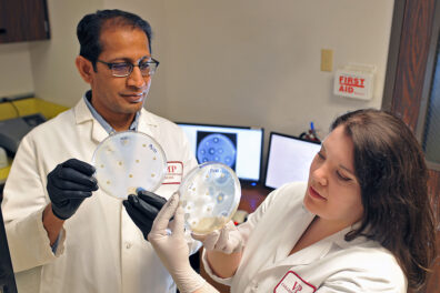 Devendra Shah and Rachel Soltys examine disease samples