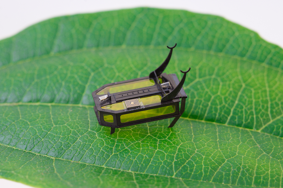 WSU Engineer s Tiny Robot Earns World Record WSU Insider Washington