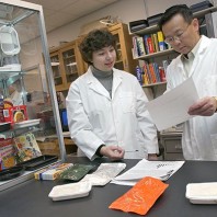 A photo of a two researchers looking over data