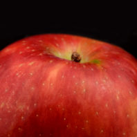 A closeup of the top of an apple