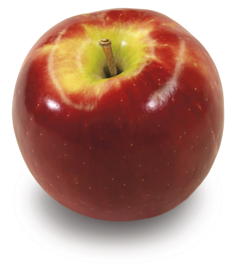 Carson College MBA Students Picked to Help Market Cosmic Crisp™ Apple eDividend Washington