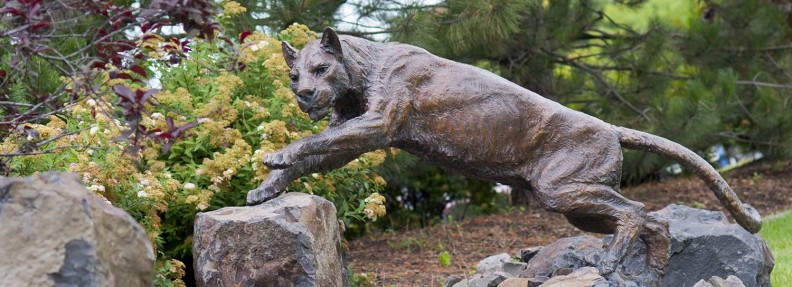 Photo of Cougar sculpture on campus