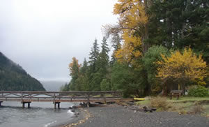 a gravel path leading to a dock or bridge. some trees with sparse or yellowing foliage are visible in front of conifers.
