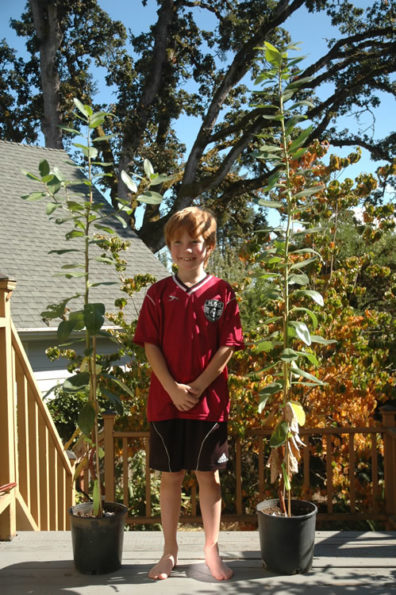 On a wooden porch, a young redheaded boy stands between two potted madrone plants, both of which are taller than him.