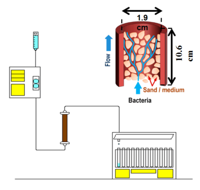 Graphs showing transport experiments