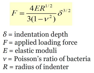 Equation with indentation depth, applied loading force, elastic moduli, Poisson's ratio of bacteria, and radius of indenter