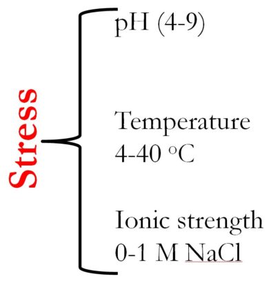 Stress caused by: pH of 4-9, Temperature of 4-40 degrees Celsius, Ionic strength 0-1 M NaCl