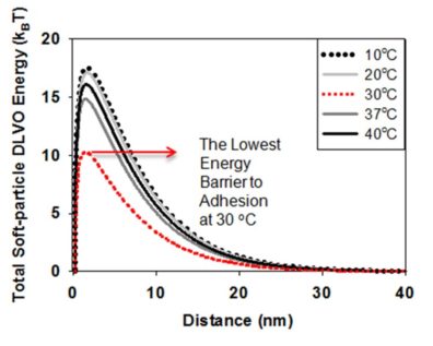 Graph showing Total soft-particle DLVO energy in relation to distance (nm) - The lowest energy barrier to adhesion at 30 degrees C