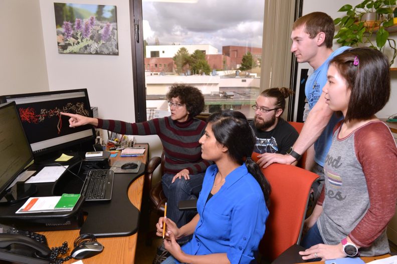 Alla Kostyukova and team looking at research figure on computer monitor