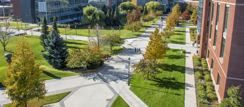Grounds