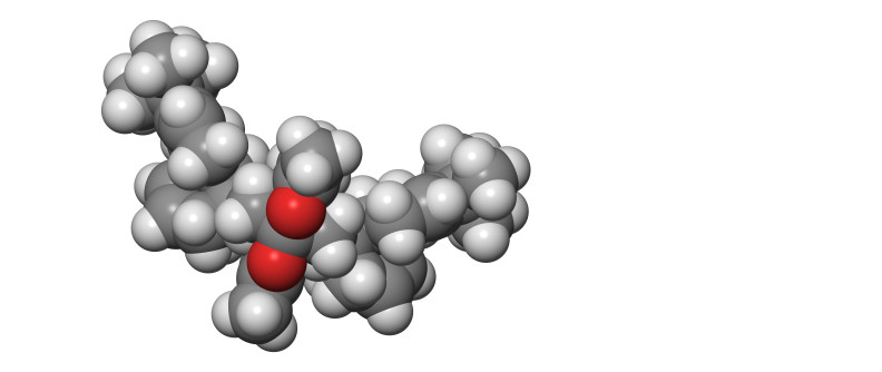 molecular model