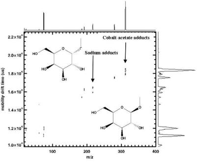 Glycomics_spec2RR Two-dimensional IMS-Tof-MS spectrum showing the separation of methyl-a-and ß-D- galactopyranosides