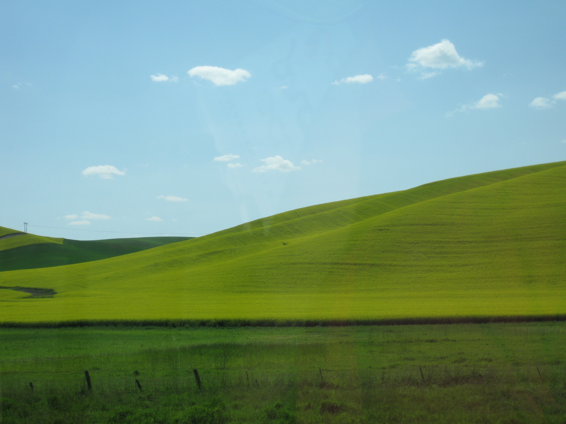 IMG_1473 Planted fields
