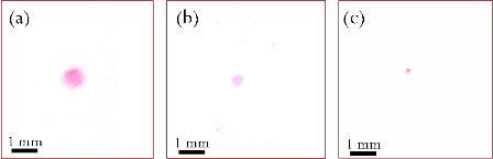 lpimsfig2 Corresponding photos of ionizing 10 mM Basic Fuchsin (a) by ESI in air, (b) by EDI in hexane and (c) by EDI in benzene