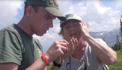 Researchers on Mount Rainier