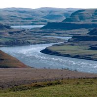 Many remains were disinterred prior to flooding by Snake River dams. Photo by John Clement