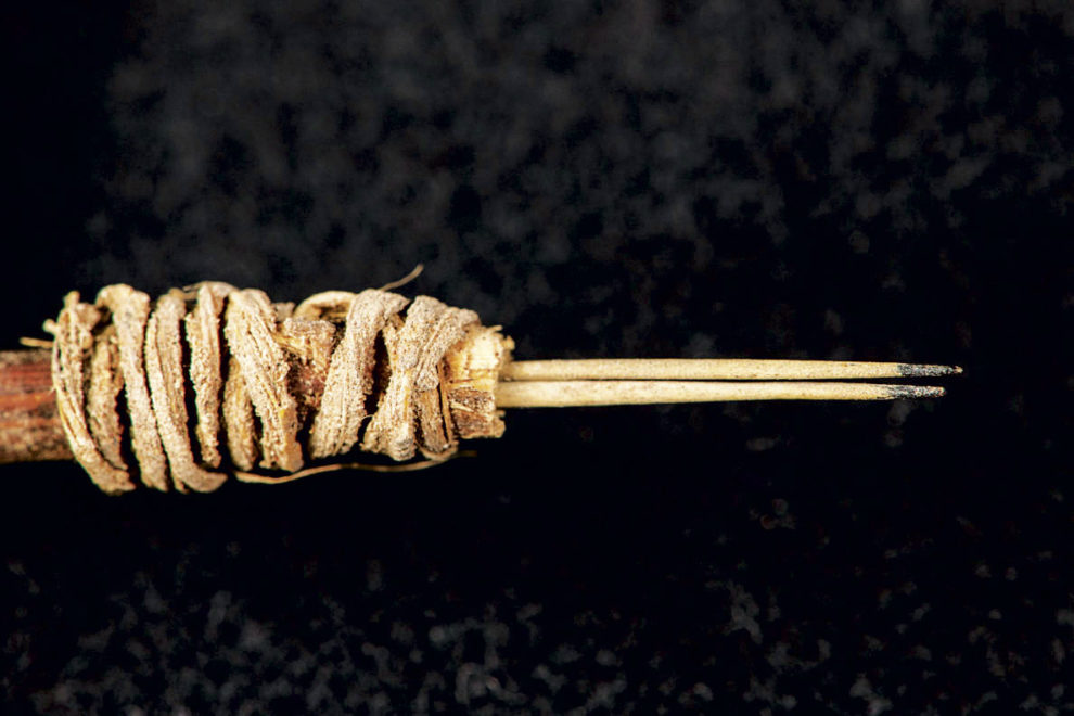 Ancient ink Washington State Magazine Washington State University