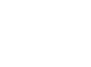 WSU Foundation logo
