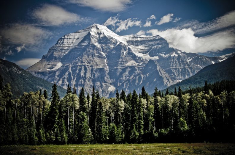 Mountains and trees